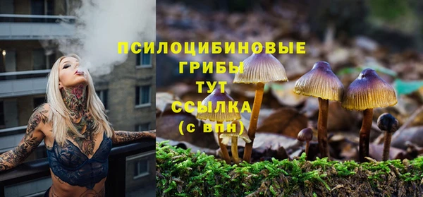 трава Верея