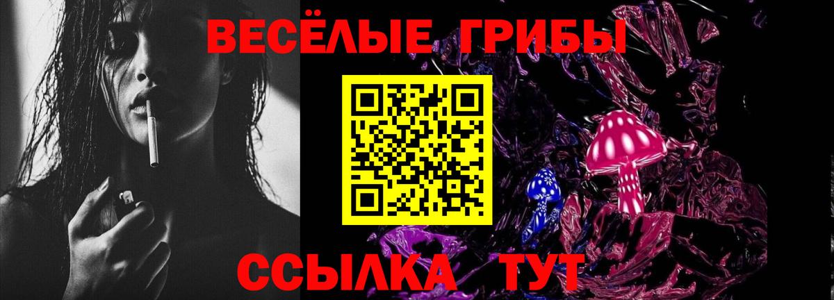 Псилоцибиновые грибы мицелий  Псилоцибиновые грибы Psilocybine cubensis  Вход с VPN  Муром 